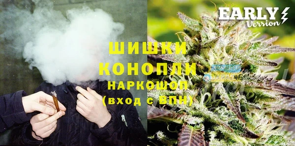 ешки Алексин